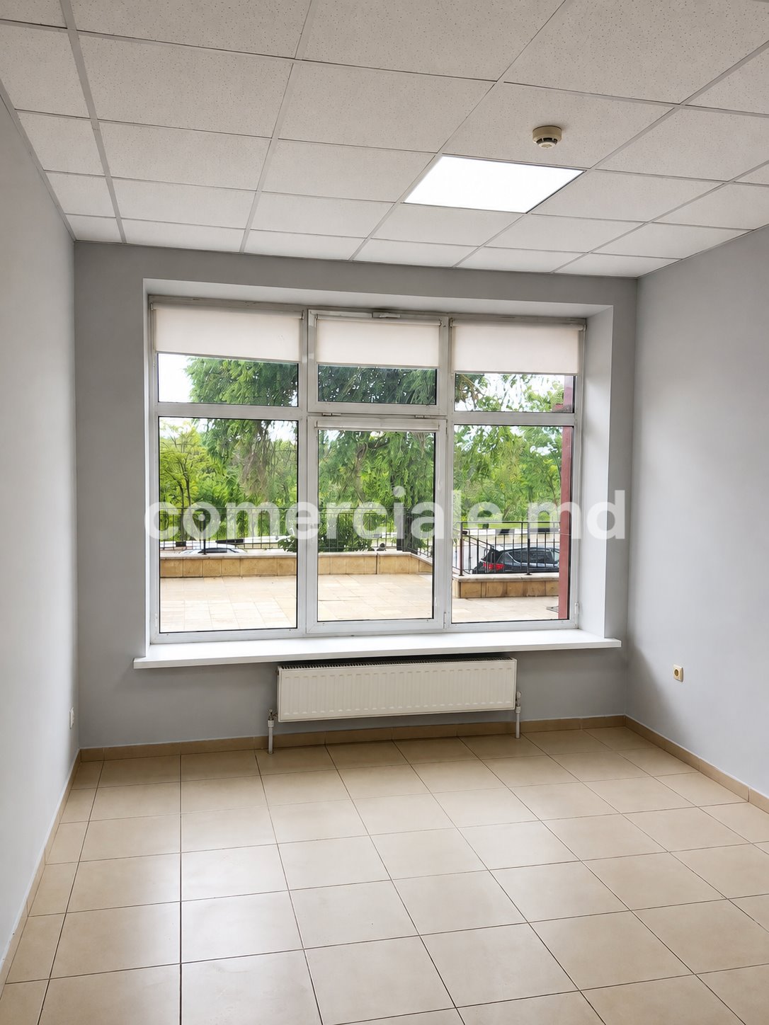 3ed709e3-bb4c-43f8-b8da-43bfd2717de7.jpg