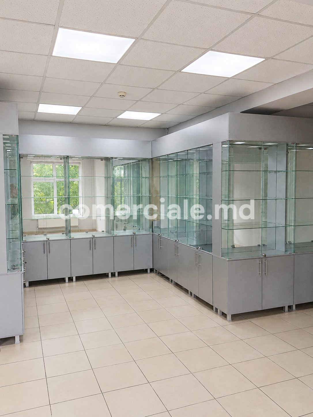 6fcc994b-ad60-44c3-9975-c621497317d1.jpg