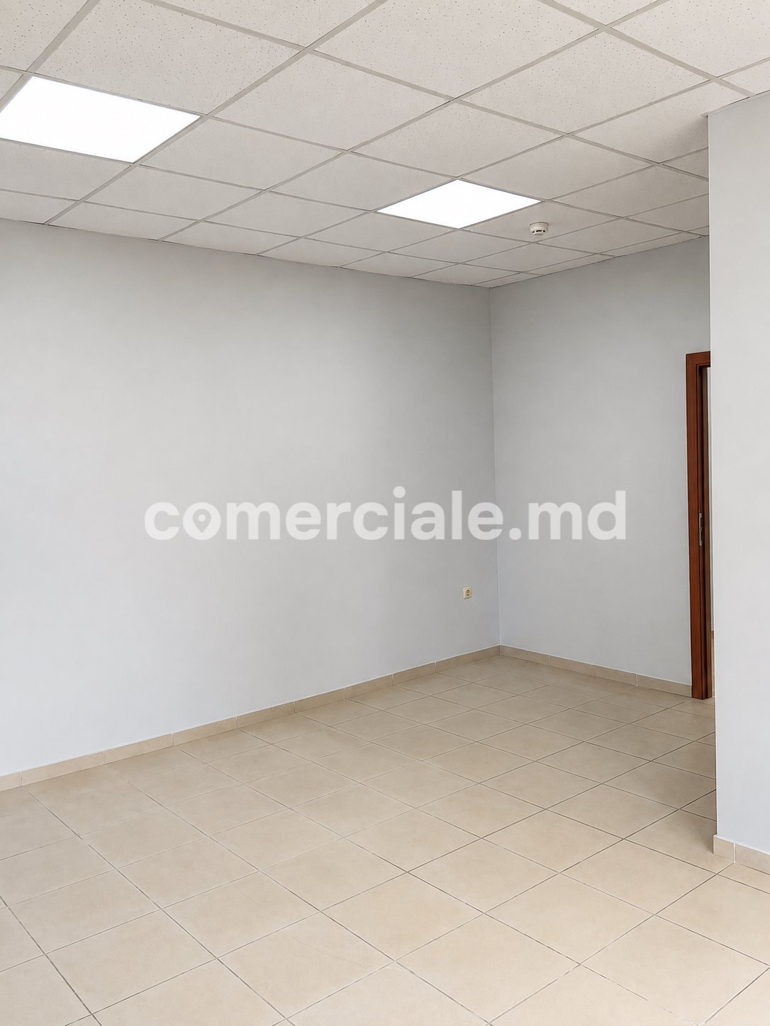 ad1297bf-0e2f-4766-bf3d-e5c998f02aa8.jpg